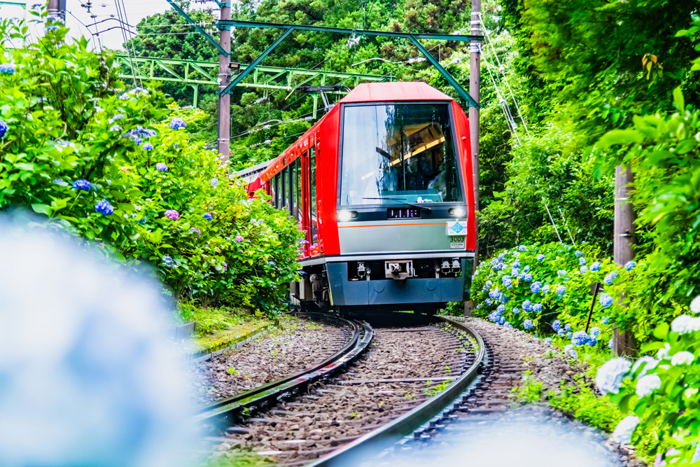 Hakone Tozan Railway